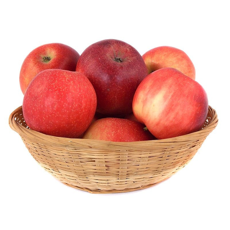 Alma Red Jonaprince (kg)